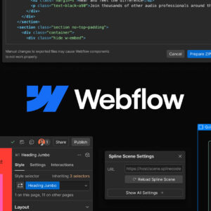 Webflow I.T Support (1 Hour)
