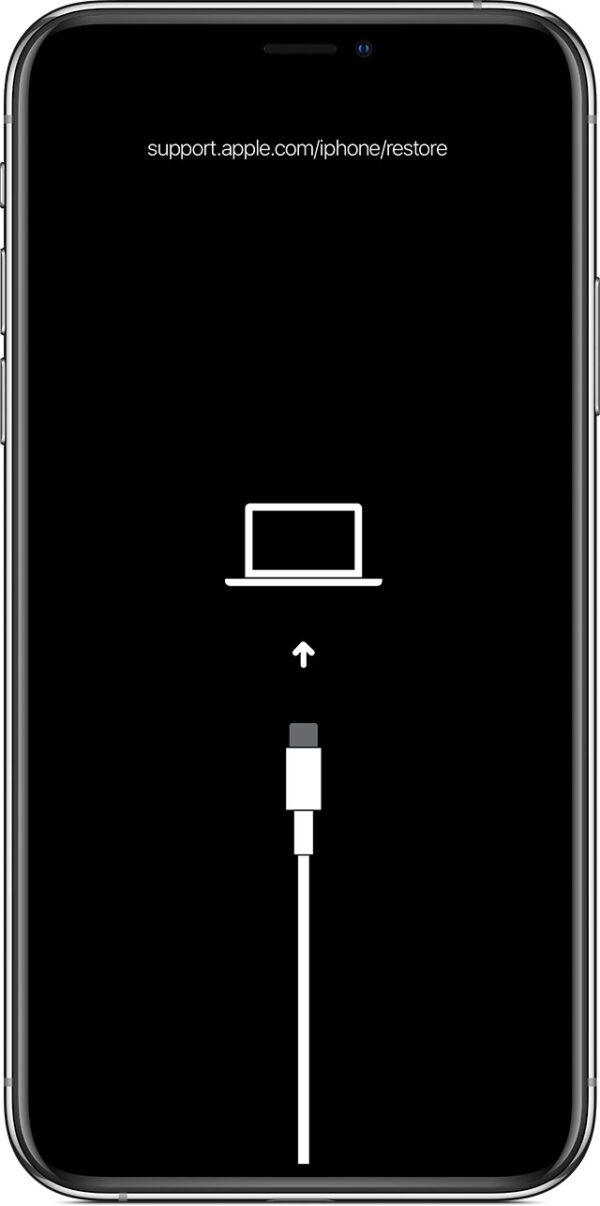 iPhone I.T Support (1 Hour)