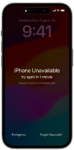 iPhone I.T Support (1 Hour)