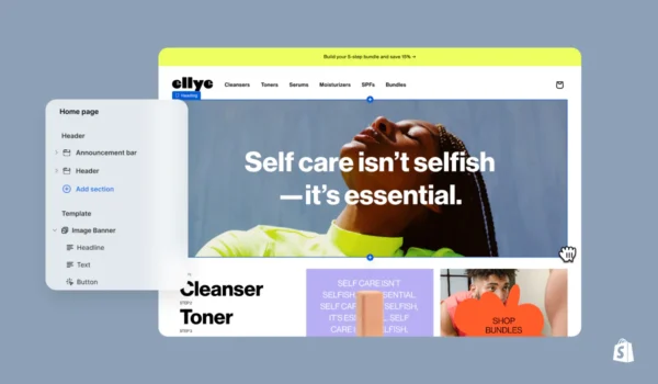 Shopify I.T Support (1 Hour)