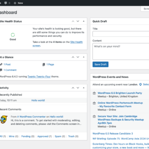 WordPress I.T Support (1 Hour)