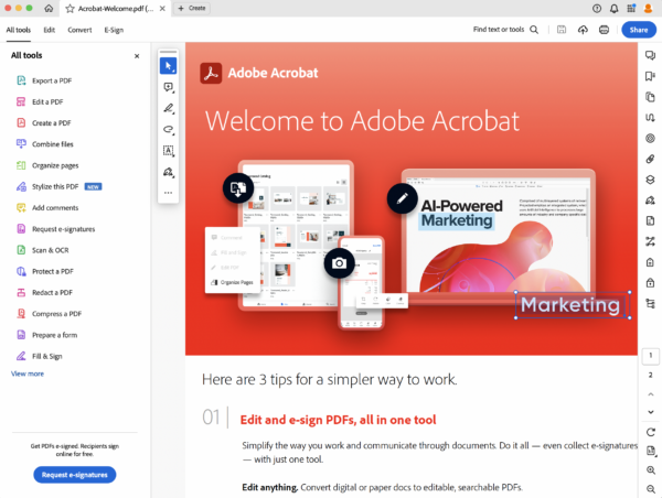 Adobe Acrobat Pro I.T Support (1 Hour)