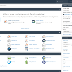 Cpanel I.T Training Support (1 Hour)