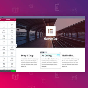 Elementor I.T Support (1 Hour)