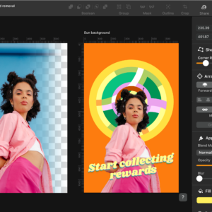 Adobe Illustrator I.T Support (1 Hour)