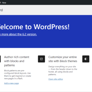 WordPress Training I.T Support (1 Hour)